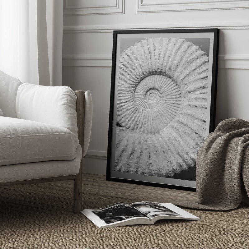 Monochrome Shell Print