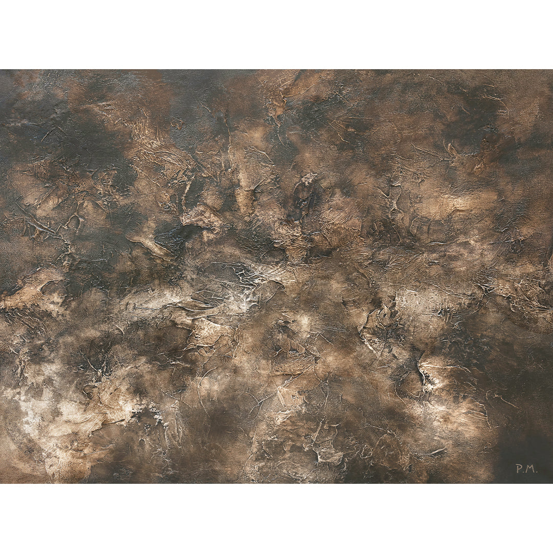 Fossil Landscape Framed Printed Canvas - Mala Art Co.