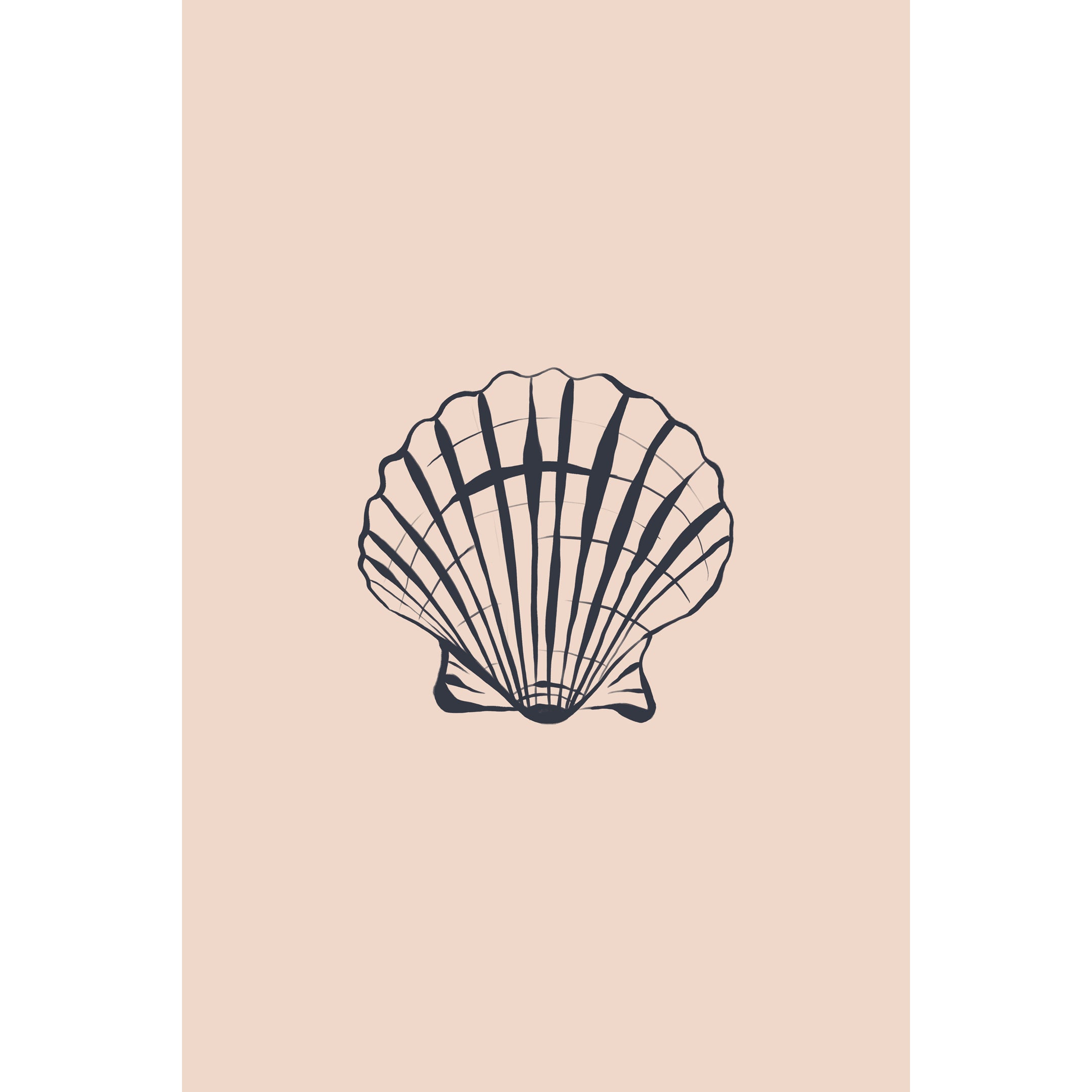 Seashell Print