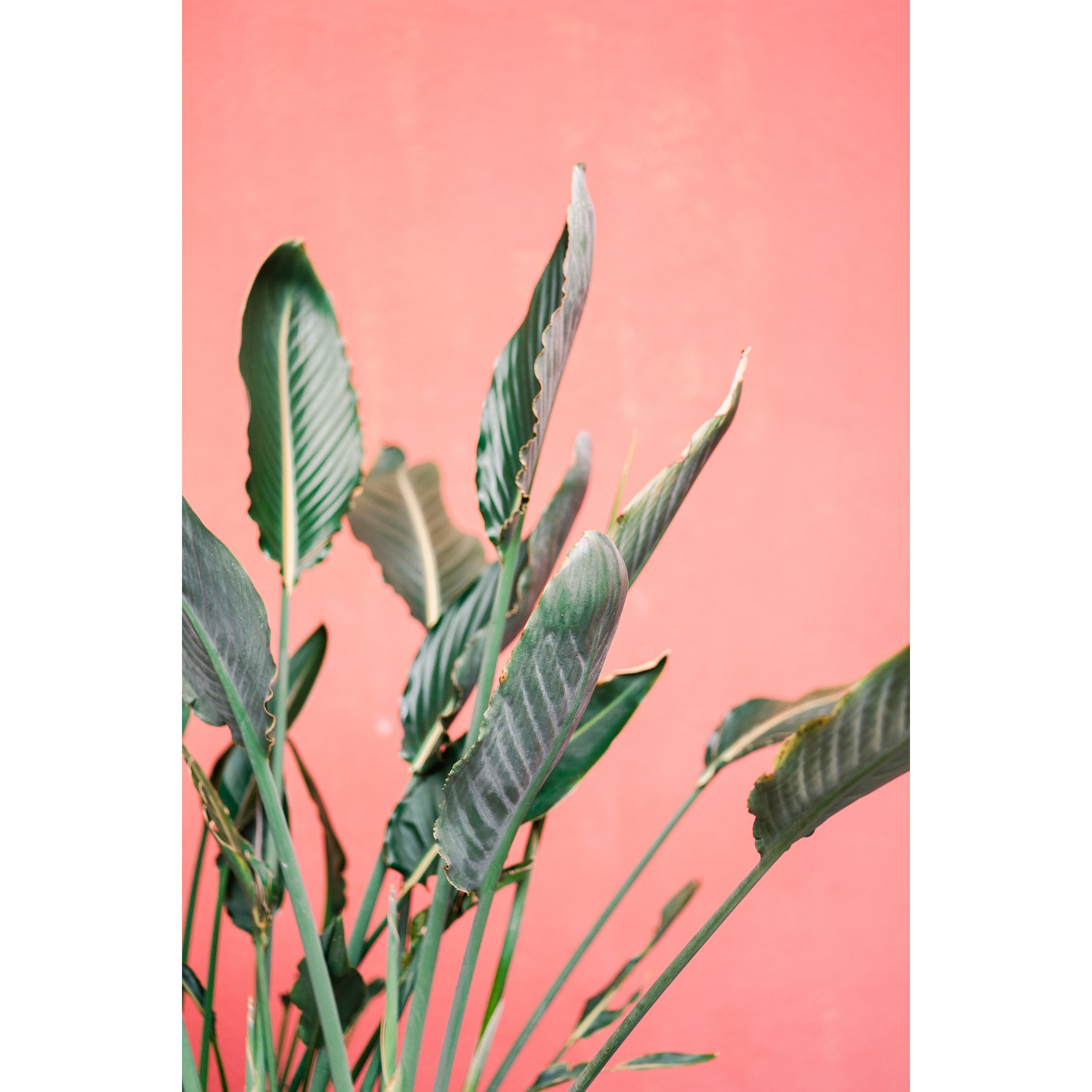 South Of Spain Print