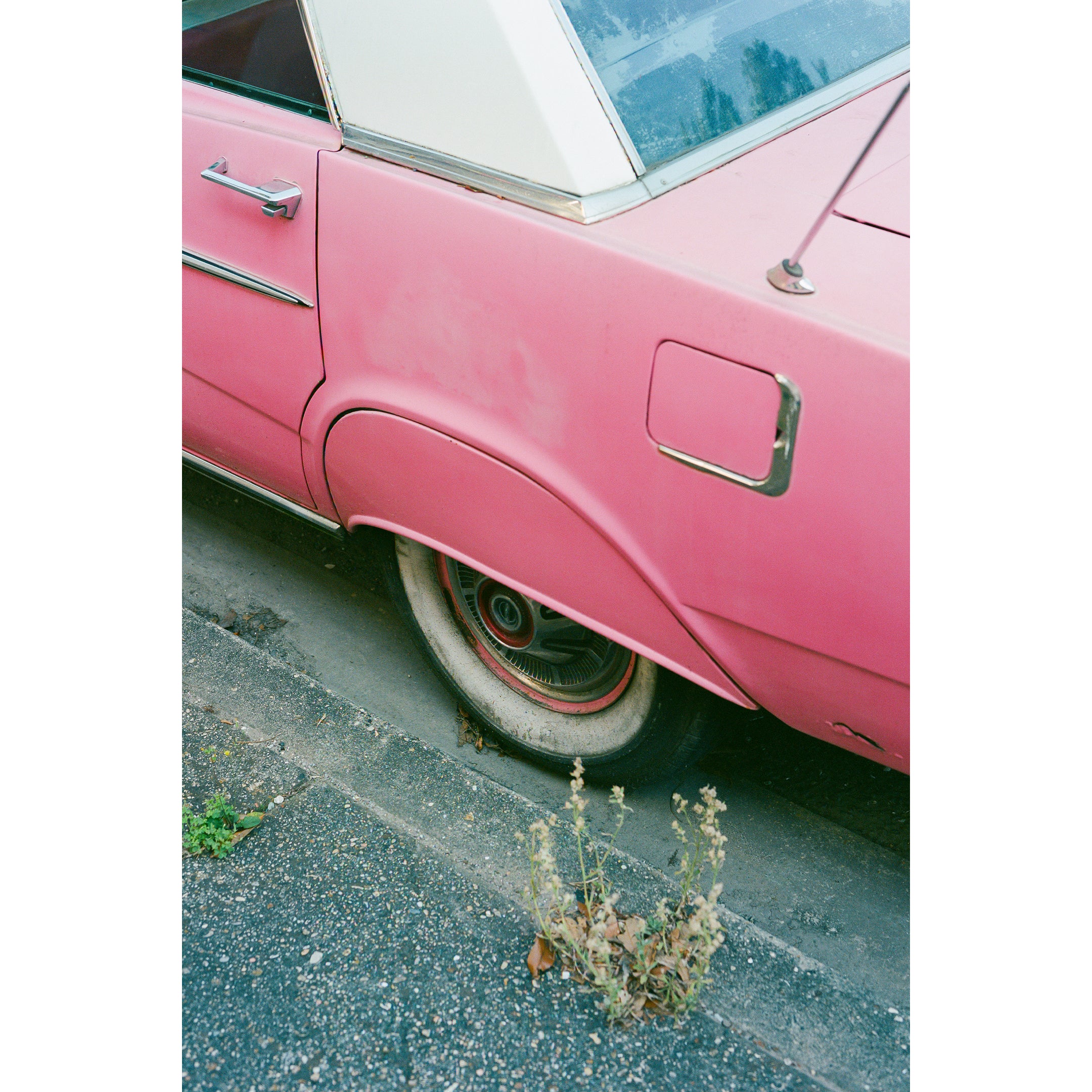 New Orleans Ride Print