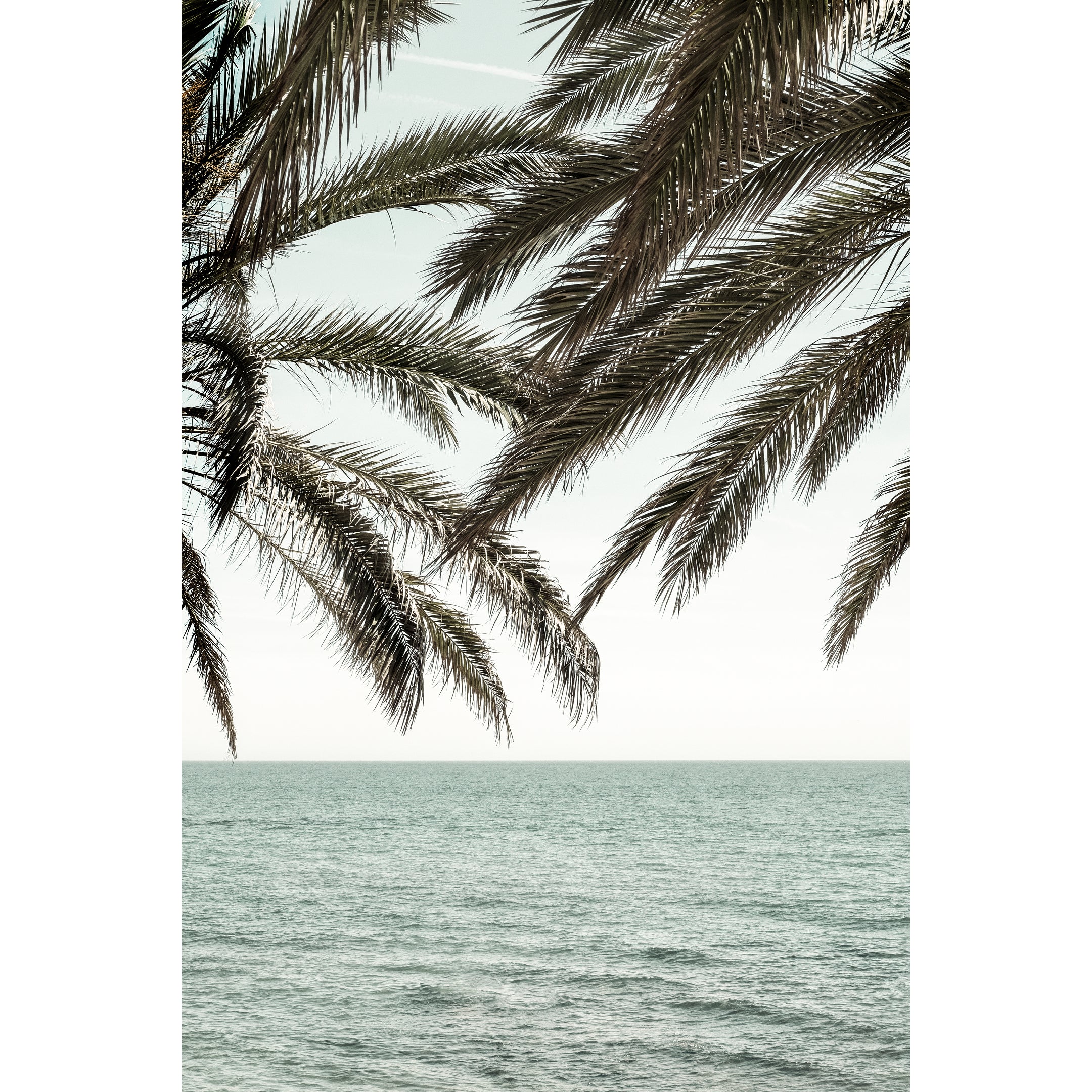 Ocean Paradise Print